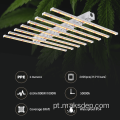 Lâmpadas de cultivo LED 600W LED 8BAR